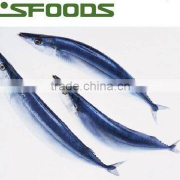 2015 Frozen pacific saury from China