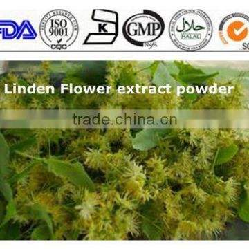 ISO 13 years factory Tilia miqueliana Linden flower extract