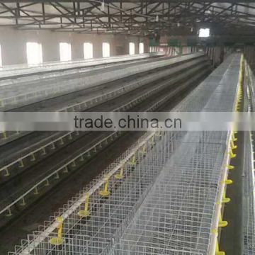 Best quality chicken layer cage with automatic feeding machine.