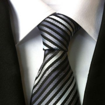Paisley Gray Mens Silk Necktie Stwill Skinny