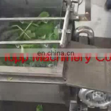 Hot Sale Practical Air Bubble Fruit and Vegetable Washing Machine