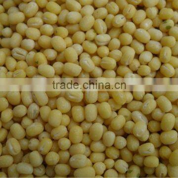 mung bean