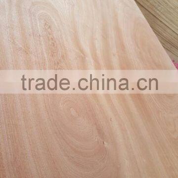 10mm high quantity of Vietnam plywood sheet for construction