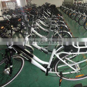 front wheel motor electric bike