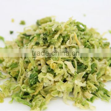 dehydrator vegetable cabbage