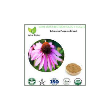 echinacea extract,echinacea purpurea extract,echinacea herb extract,cichoric acid