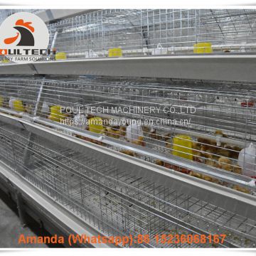 Panama Poultry Farming Business Pullet Cage & Battery Small Chicken Cage & Pullet Coop for 5000 Chicks in Chicken Shed