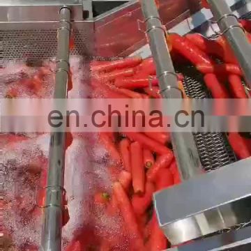 Industrial vegetable fruit washing drying machine red onion cleaning machine