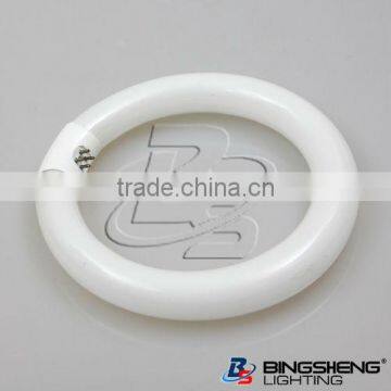 Circle Fluorescent Light T8 110V/240V G10q