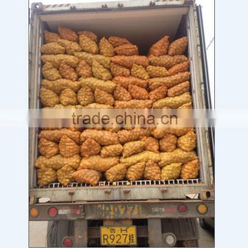 2014 fresh potato and high quality potato hot sale (70-120gram)100-200g