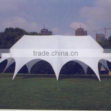 25*14*5m Top Quality Party Tent with Promotions