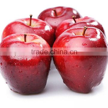 Fresh Huaniu apple with best price for sale