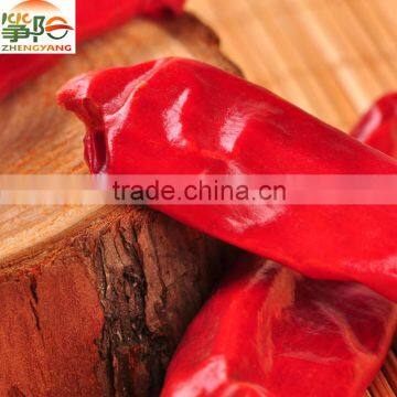 tianying chilli stemless chaotian chilly red hot chilly 3-7cm small chilli