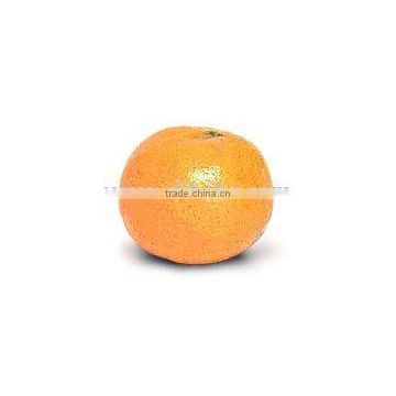 New Year 2017 Special Offer - Mandarin Oranges