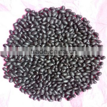 JSX raw black kidney beans 24 months shelf life new crop black gram