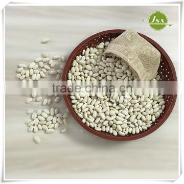 JSX Japanese White Kidney Bean For Canned With Good Price