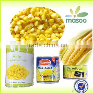 China different types of canned corn/canned sweet corn
