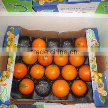 Light Trays Insert For Persimmon Packaging