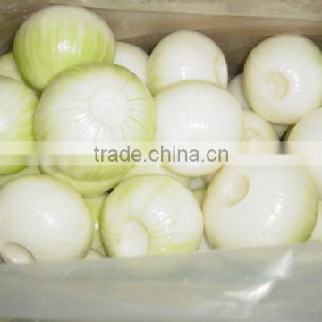 New Fresh high grade red onion 2014 in China with good quality