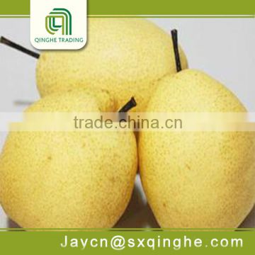 new fresh delicious ya pears organic fruit