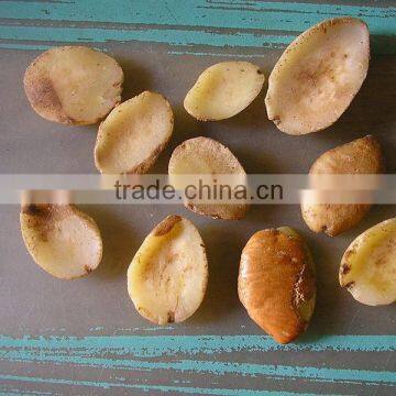 Mango Nut powder