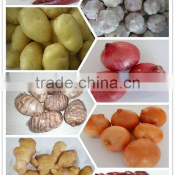 Certified GAP/ KOSHER/ HALAL China White Garlic