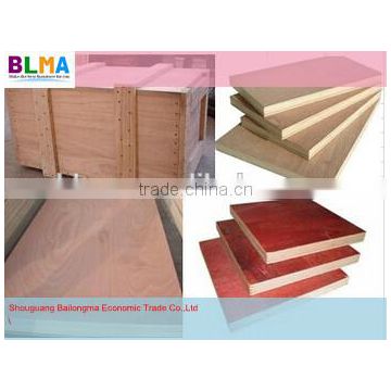 cheap shuttering plywood supplier from china