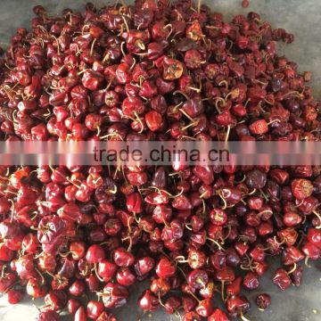 Round Red chilles from Tamilnadu