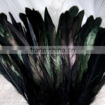 Home Decor cock feather, rooster feather, dyed colourful feather
