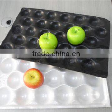 PS Plastic Fruit Tray