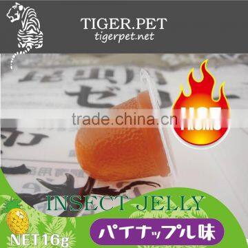 Hot sale white color milk flavor insect Jelly