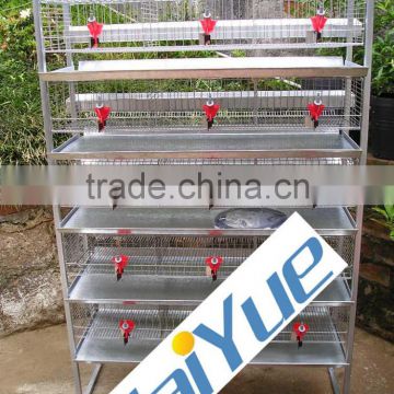 TAIYU H type 5 Tiers Commercial Quail Cages