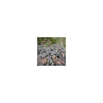 gabion box