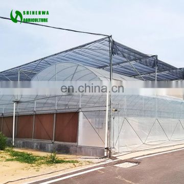 High Quality  Low Price Classic Commercial Plastic Film Greenhouse/Garden Greenhouse/Hydroponics Greenhouse