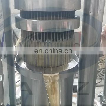 Taizy cold press oil machine for neem oil sacha inchi oil press machine