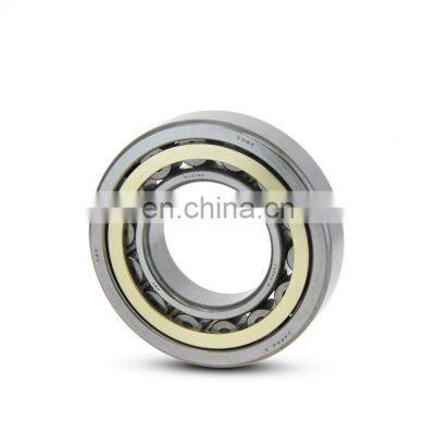 NTN Roller Bearing 621 GXX+43 Brass Cage Eccentric Bearing 621GXX+43 Cylindrical Roller Bearing