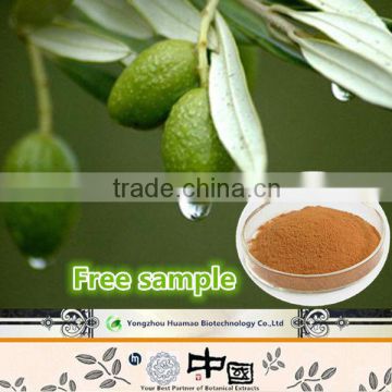 Retailers general merchandise olive leaf extract 40% oleuropein