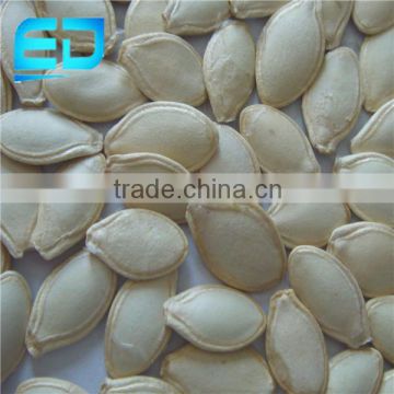shine skin pumpkin seeds from heilongjiang