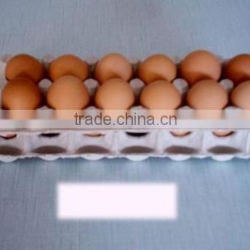paper egg tray mould