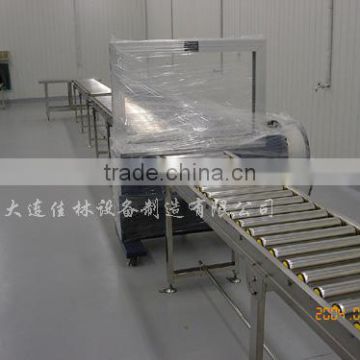 Single Chain Roller Conveyor