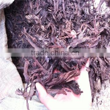 Herbal Sinkiang Arnebia Root