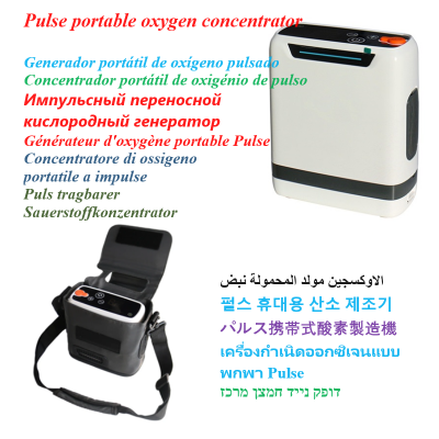 Pulse portable oxygen concentrator