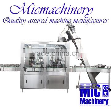 MIC-12-12-1 Top quality professional factory produce glass bottle twist off Cap juice small bottle filling machine with CE