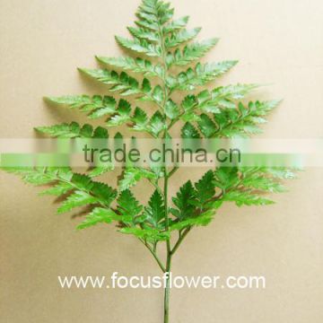 Flower Arrangement Leather Leaf Fern Global Distribution Leaves Fresh Cut Fern