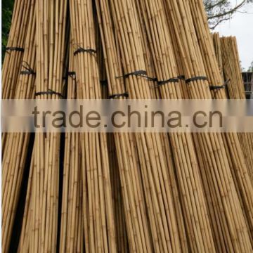 the orchard bamboo cane