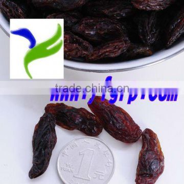 Dried Sultana Raisin/ Organic Black Currant