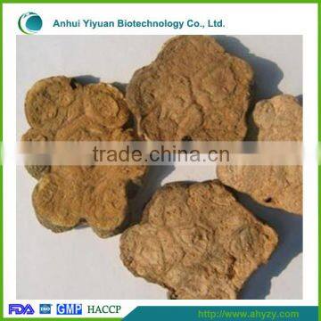 High quality Polygonum multiflorum Thunb(He shou wu)