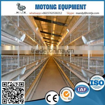 H type Best quality automatic broiler cage system for Egypt poultry chicken farming