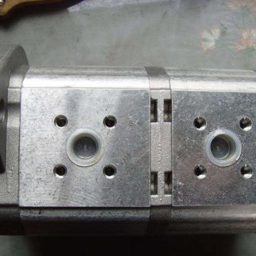Plp10.4 S0-29e8-lbb/ba-n-el Casappa Hydraulic Pump Customized Cast / Steel