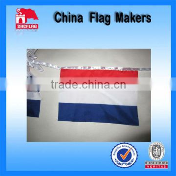 Custom Polyester Bunting Flag For Advertising Banner                        
                                                Quality Choice